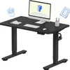 Best Budget Standing Desk: FlexiSpot
